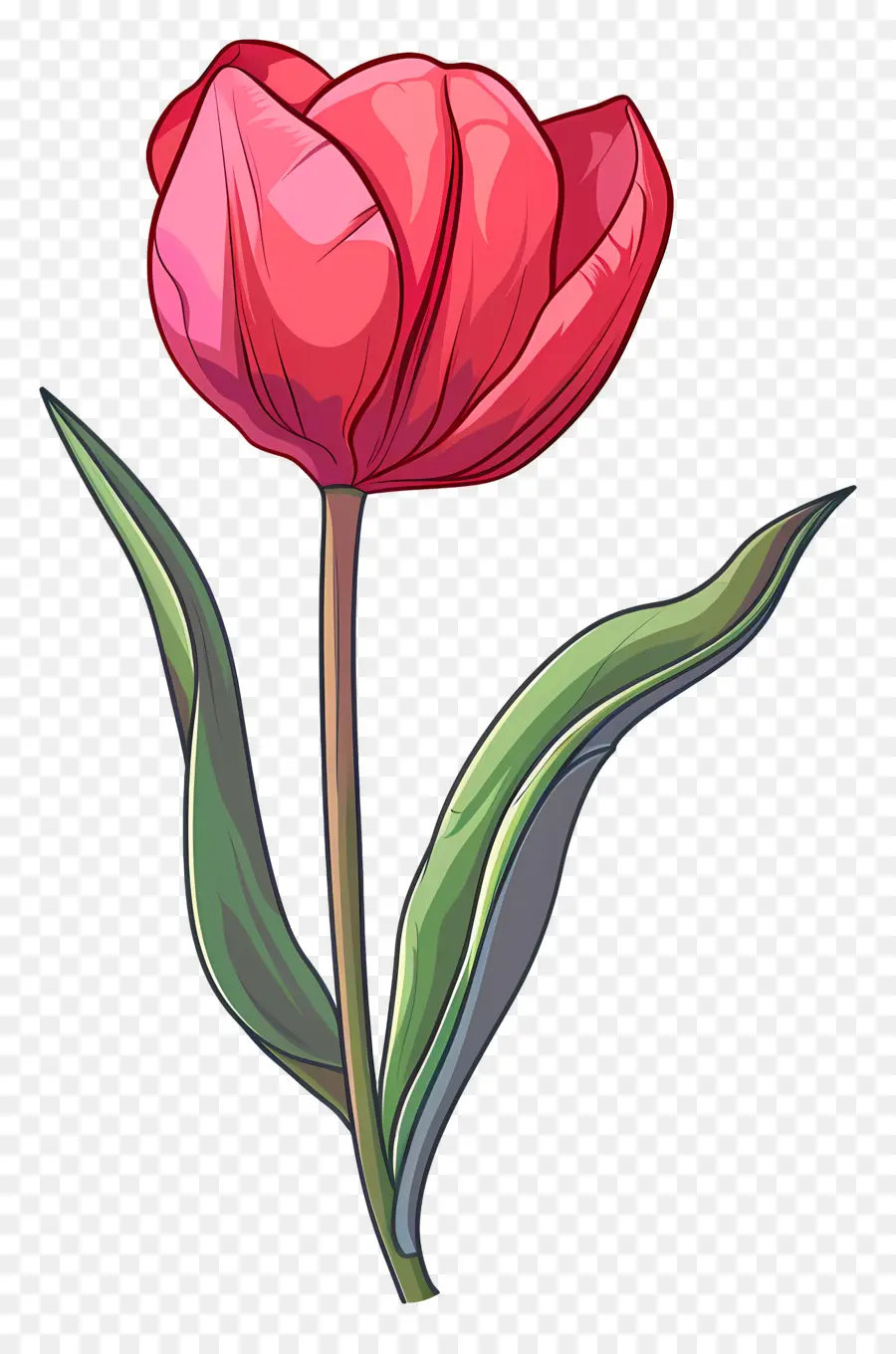 Flor De Tulipán，Flor Rosa PNG