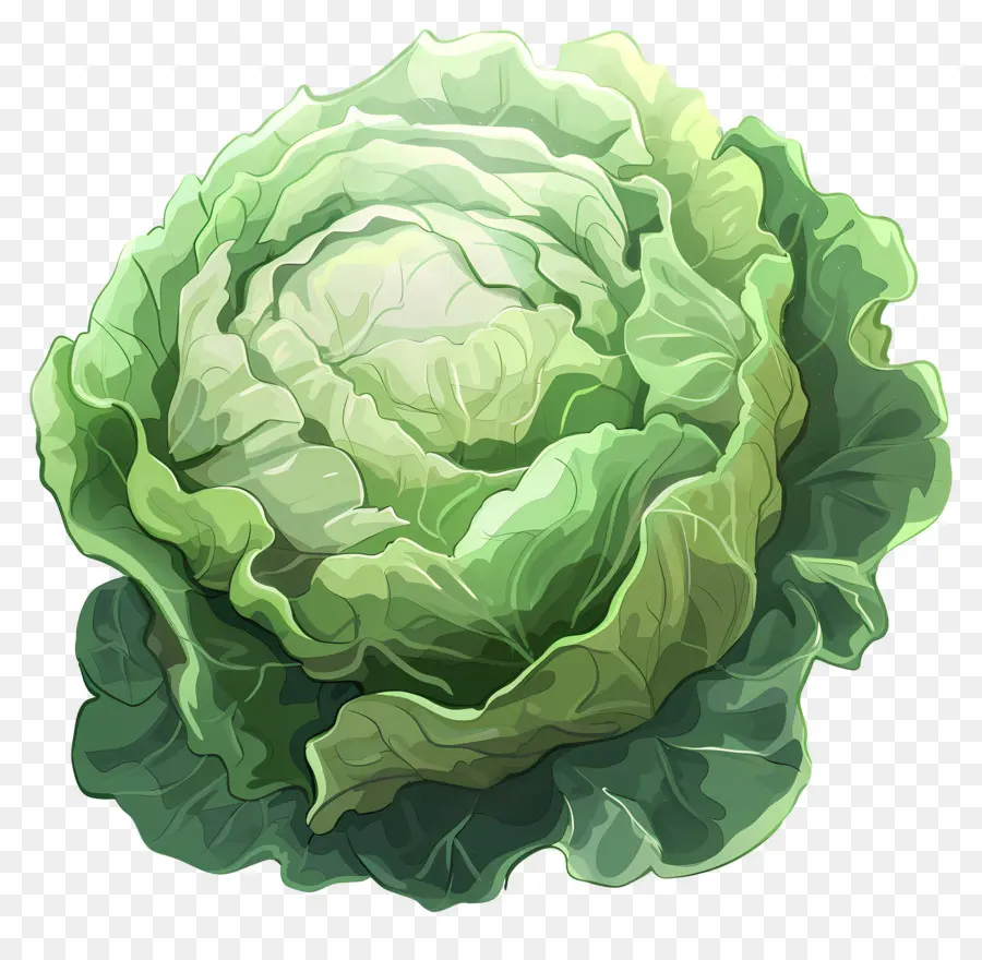 Col，Lechuga PNG