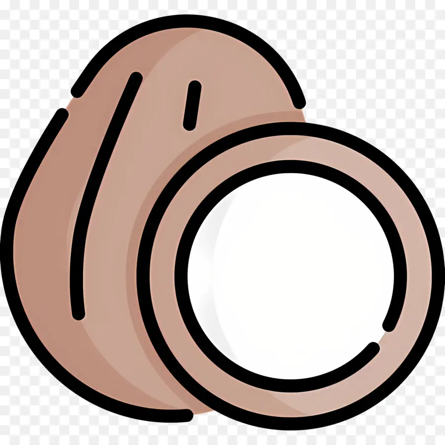 Cáscara De Coco，Coco PNG