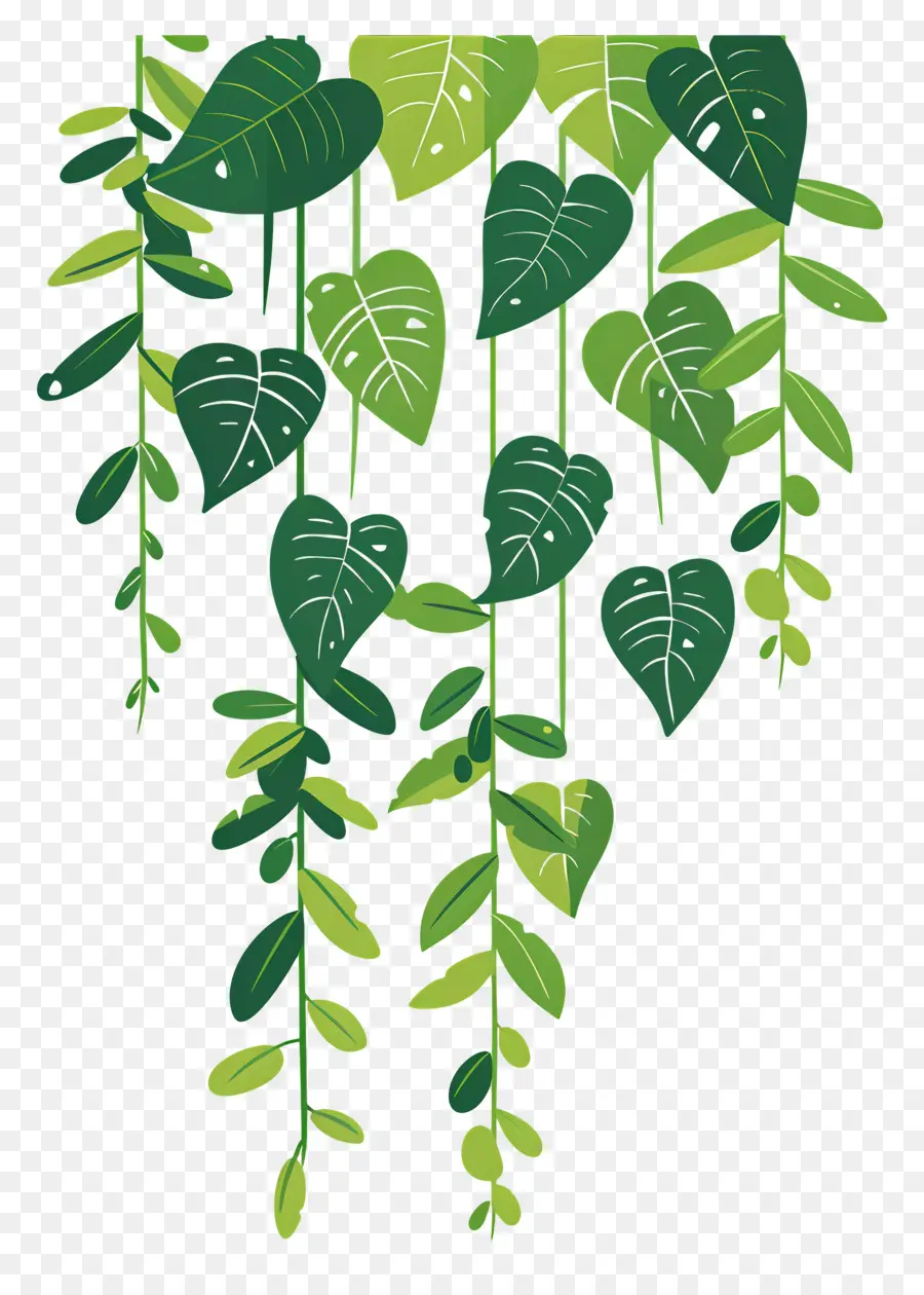 Enredad De La Jungla，Las Plantas Colgantes PNG