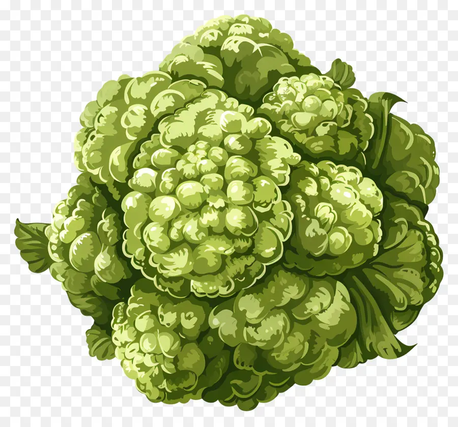 Brócoli，Verde Coliflor PNG