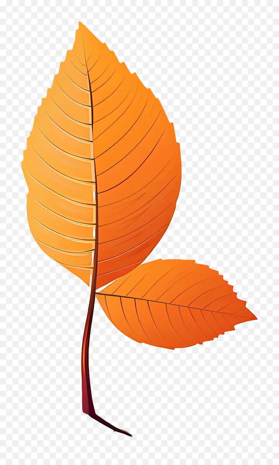 Hoja De Otoño En El Suelo，Hojas Coloridas PNG