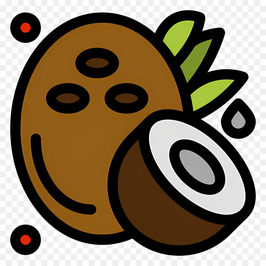 Cáscara De Coco，Coco PNG