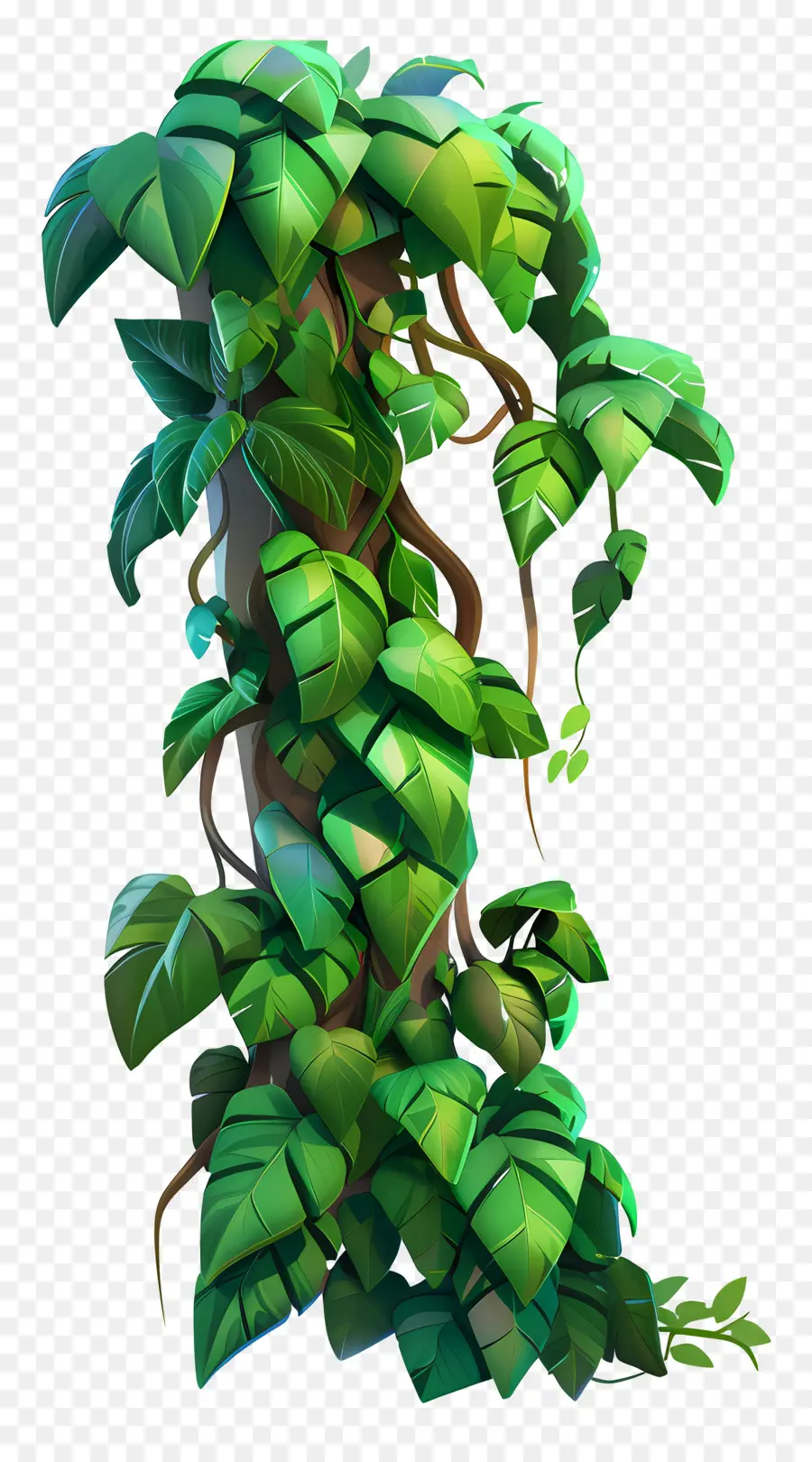 Enredad De La Jungla，Vines PNG