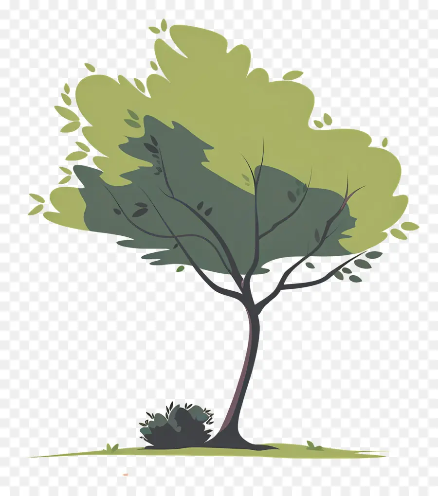 Árbol，árbol Verde PNG