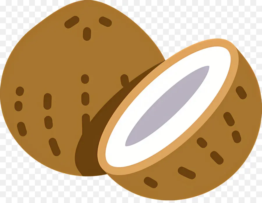 Cáscara De Coco，Coco PNG