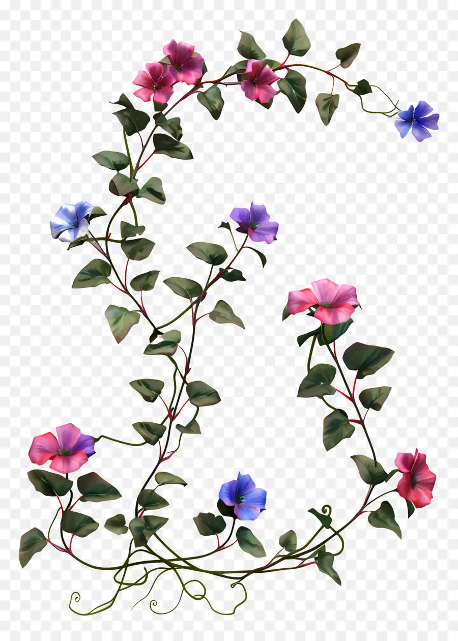 Flor De Vid，Hojas PNG