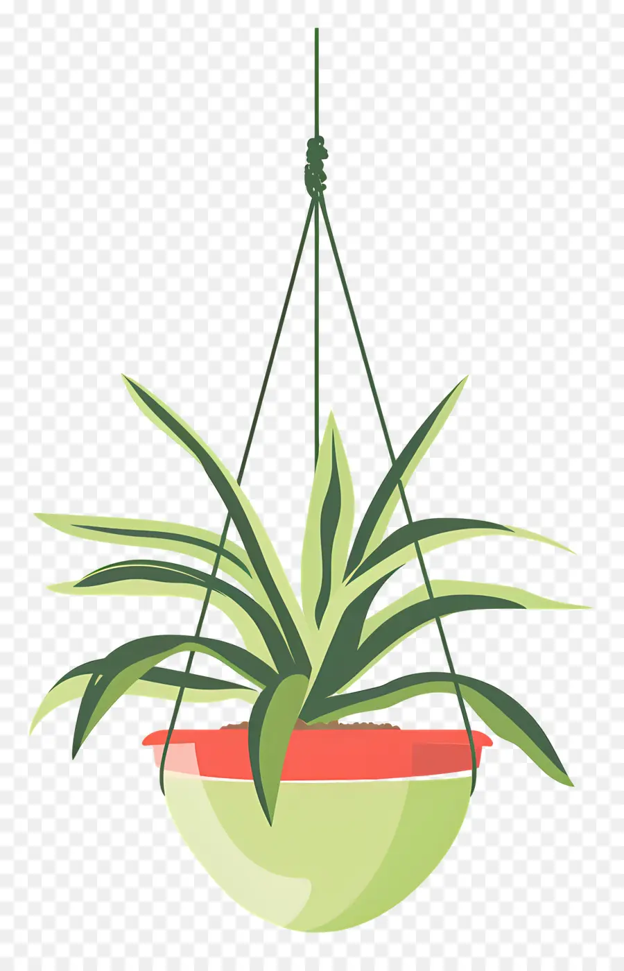 Colgador De Plantas，Colgando De La Planta PNG