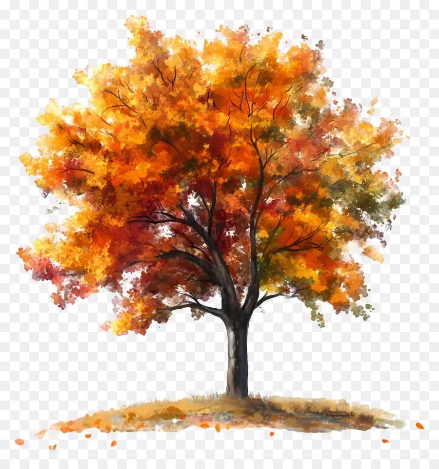 Comienza El Otoño，árbol De Otoño PNG