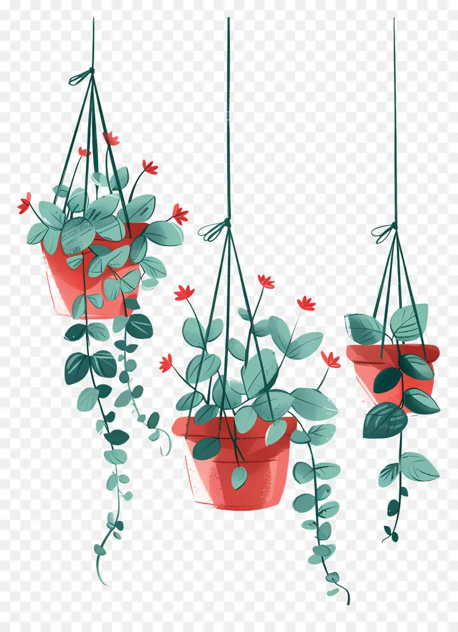 Plantas En Macetas Colgantes，Plantas Colgantes PNG