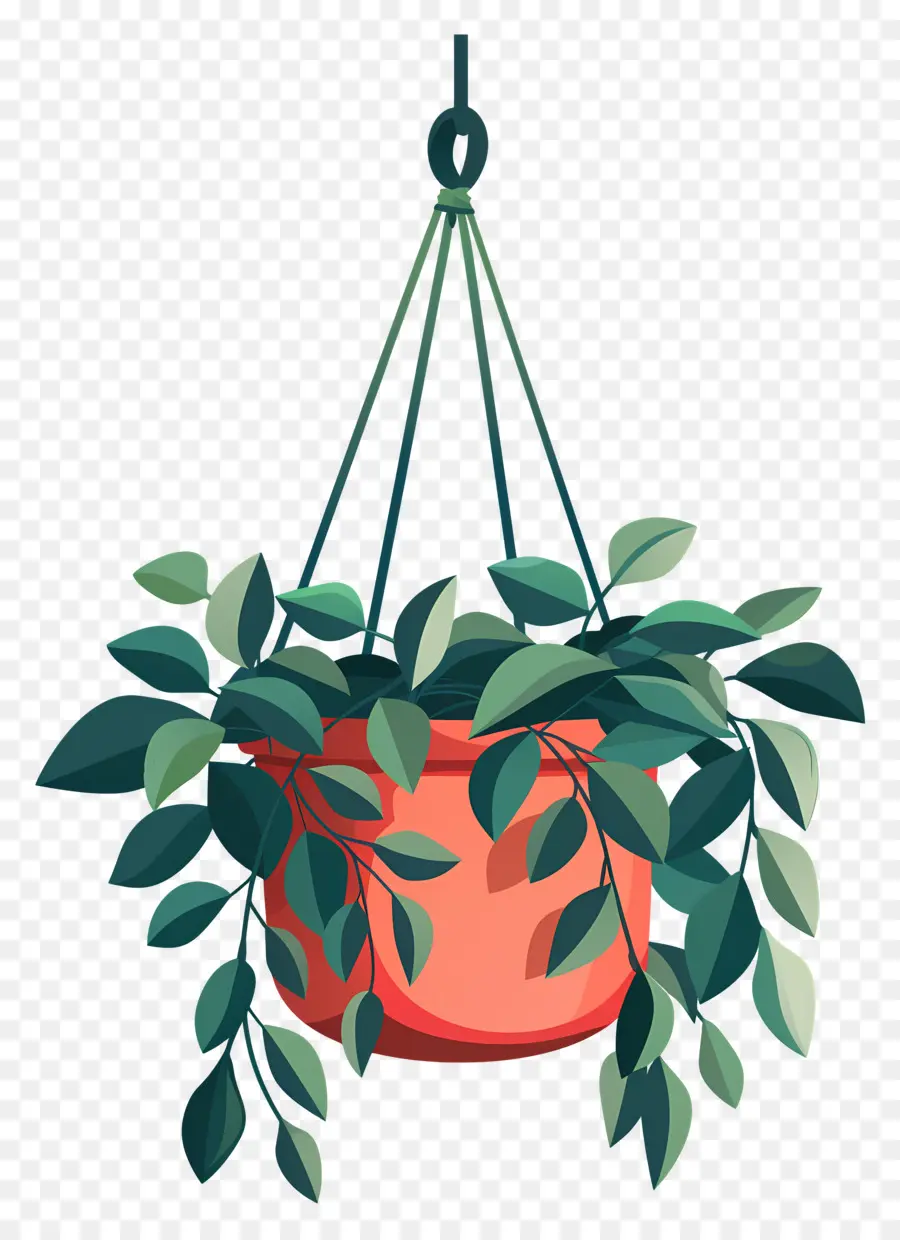 Colgador De Plantas，Planta Colgante PNG