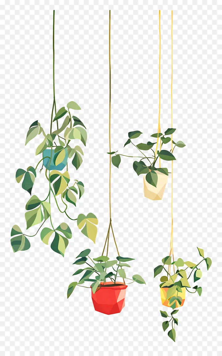 Plantas En Macetas Colgantes，Plantas Colgantes PNG