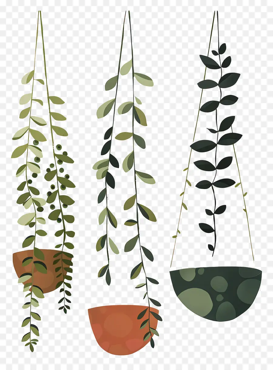 Plantas En Macetas Colgantes，Las Plantas Colgantes PNG