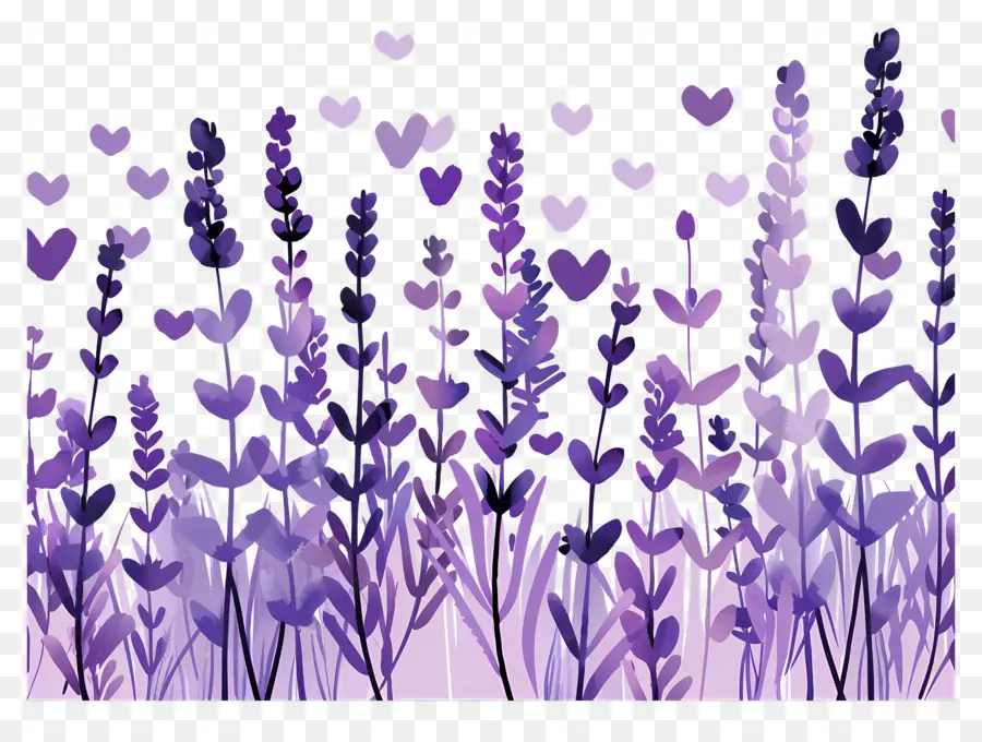 Los Campos De Lavanda，Lavanda Del Campo PNG