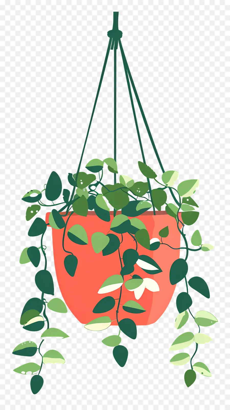 Colgador De Plantas，Planta Colgante PNG