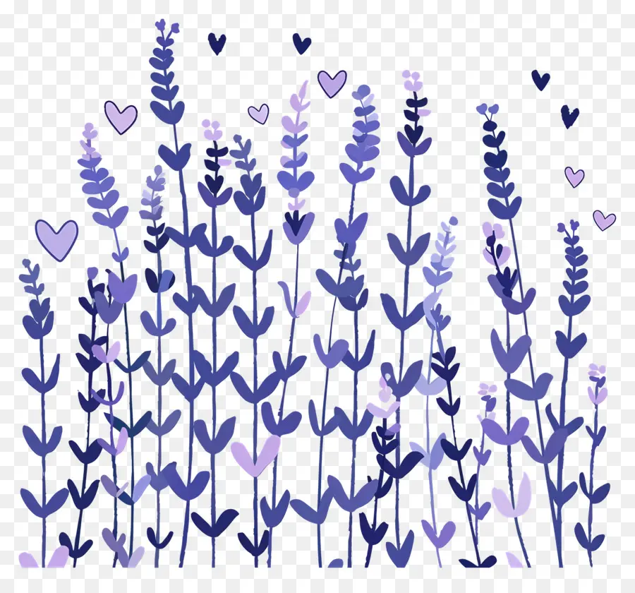 Los Campos De Lavanda，Flores De Color Púrpura PNG