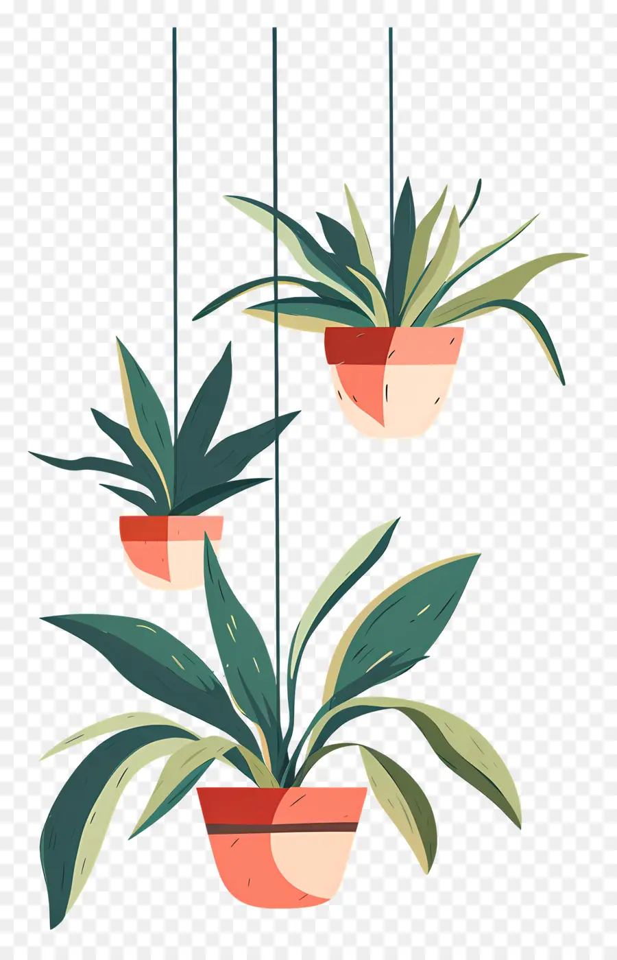 Plantas En Macetas Colgantes，Las Plantas Colgantes PNG