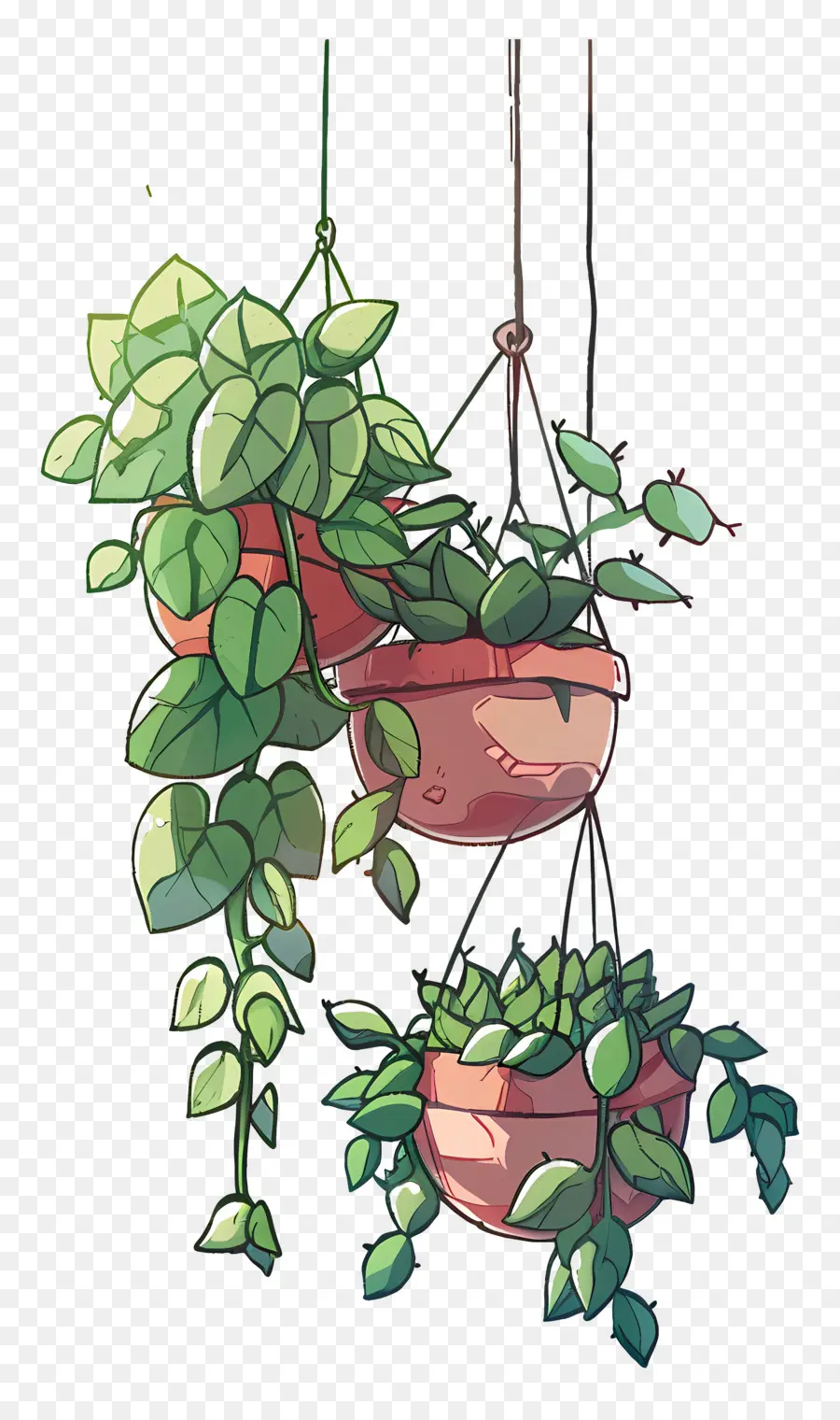 Plantas En Macetas Colgantes，Las Plantas Colgantes PNG