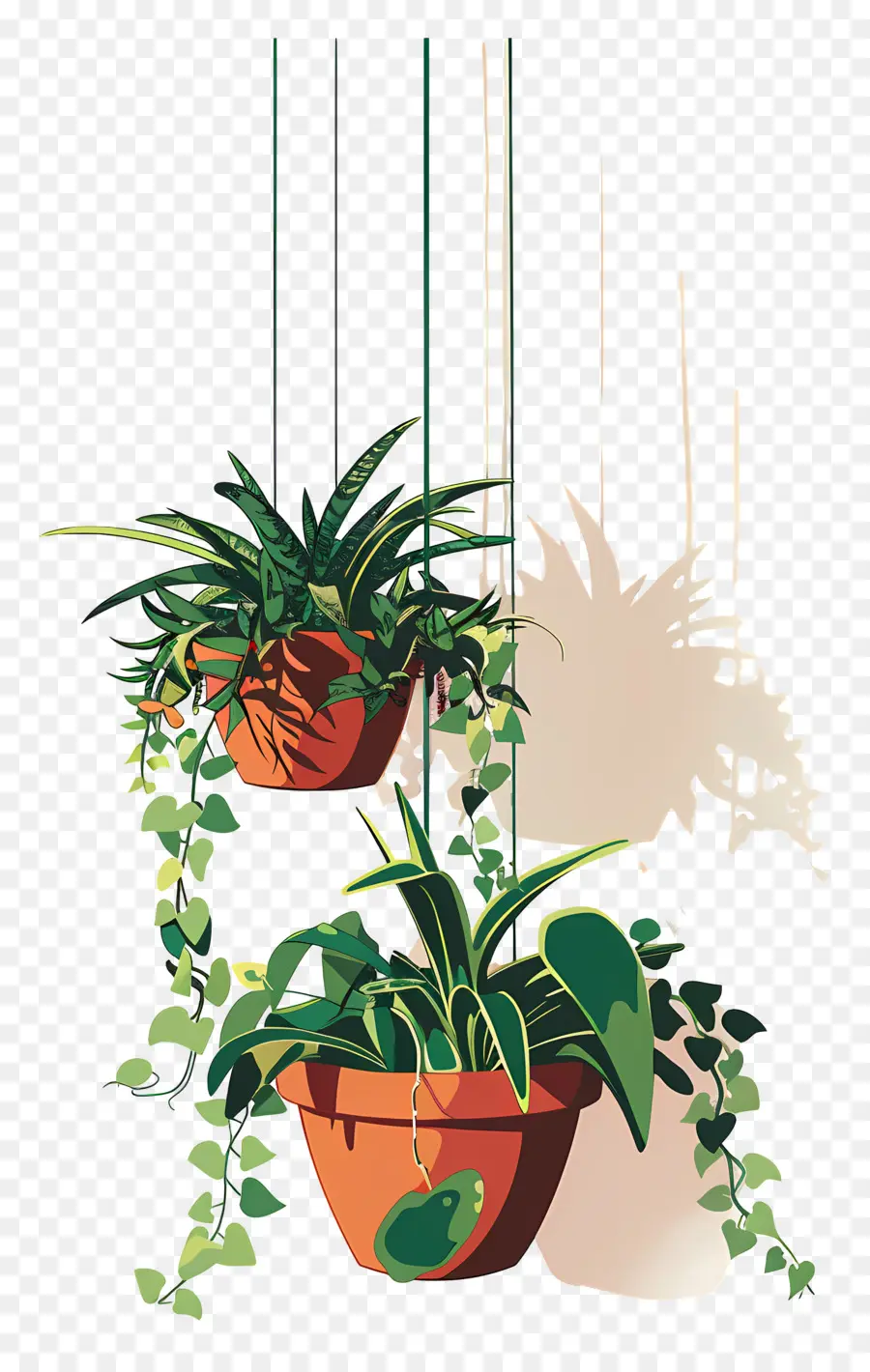 Plantas Colgantes Colgantes，Las Plantas Colgantes PNG