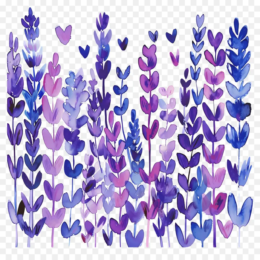 Los Campos De Lavanda，Flores De Color Púrpura PNG