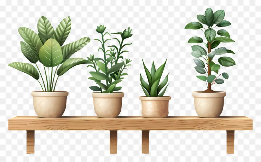 Plantas En Macetas，Estantes PNG