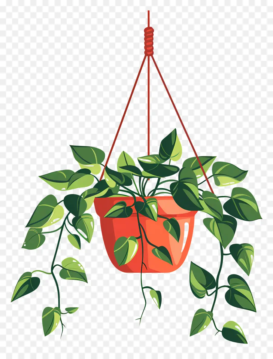 Colgador De Plantas，Planta Colgante PNG