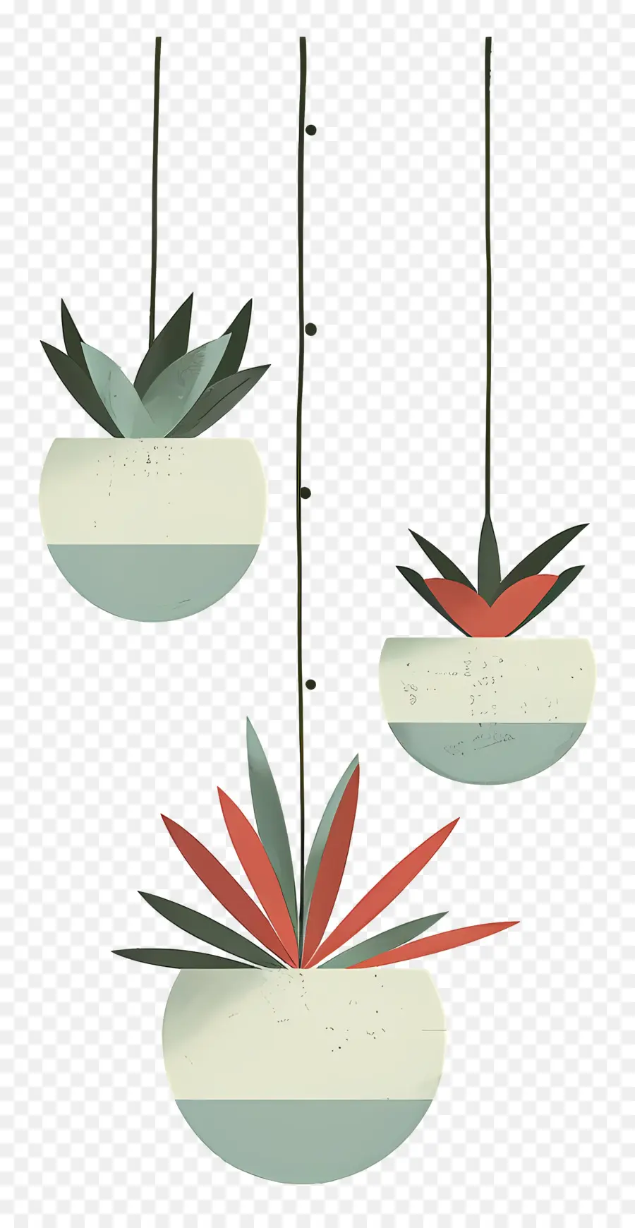 Plantas En Macetas Colgantes，Plantas Colgantes PNG