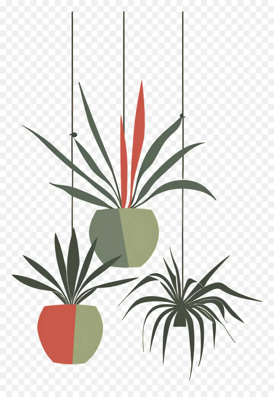 Plantas En Macetas Colgantes，Plantas Colgantes PNG