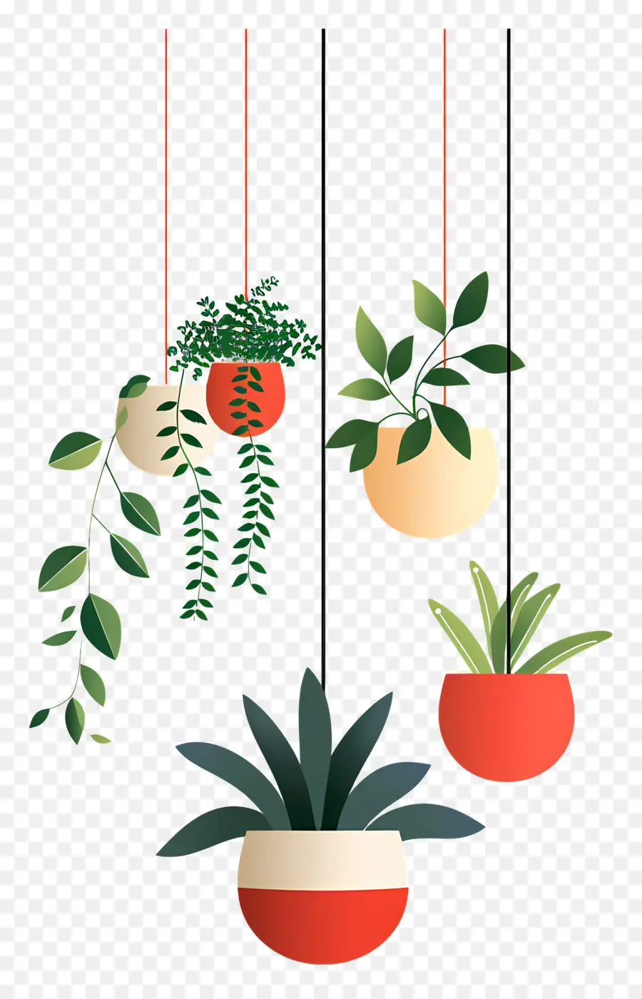 Plantas En Macetas Colgantes，Plantas Colgantes PNG