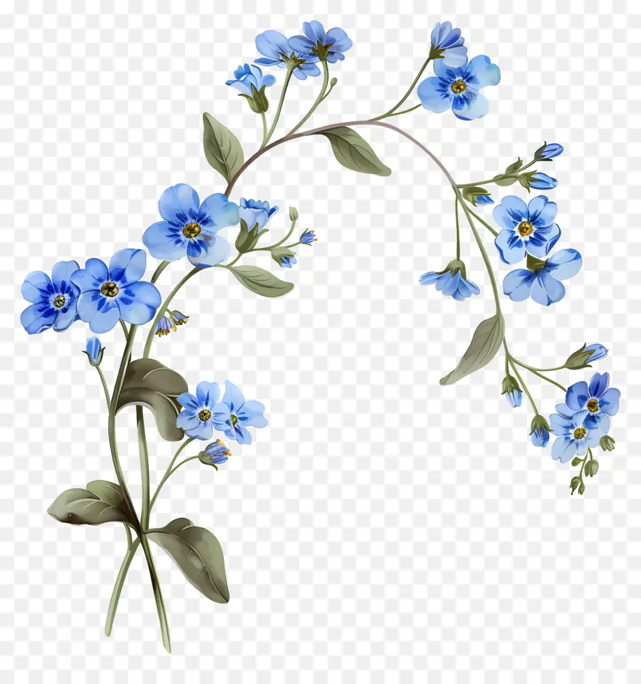 No Me Olvides Flor，Flores Azules PNG