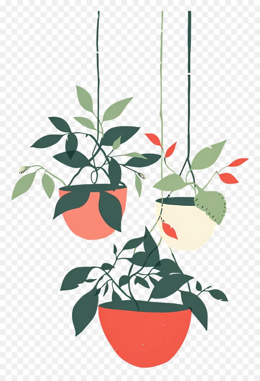 Plantas En Macetas Colgantes，Plantas Colgantes PNG