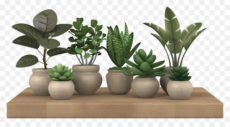 Plantas En Macetas，Verdor PNG