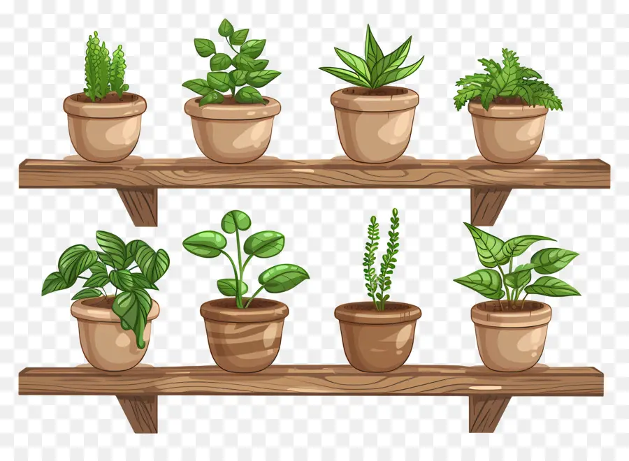 Plantas En Macetas，Estantes PNG