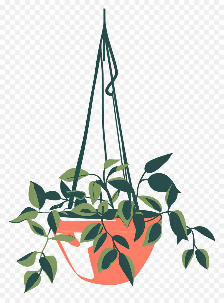 Colgador De Plantas，Planta Colgante PNG