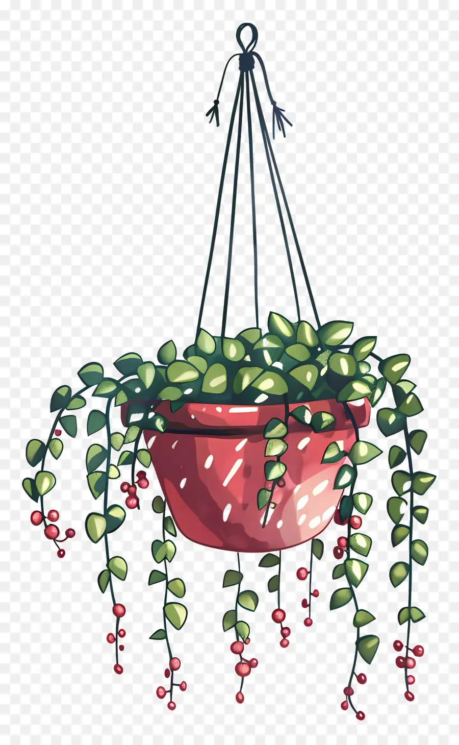 Colgador De Plantas，Planta Colgante PNG