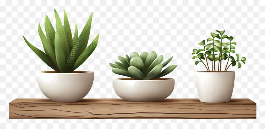 Plantas En Macetas，Verdor PNG