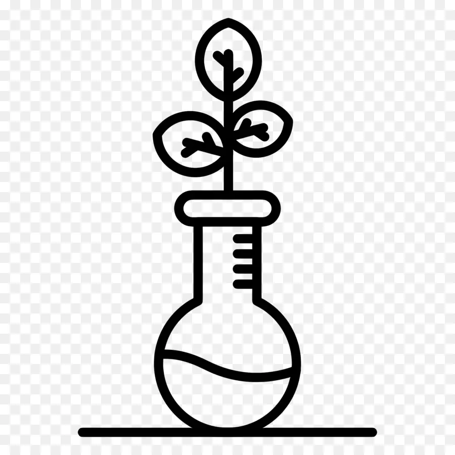 Ciencia，Planta En Matraz PNG