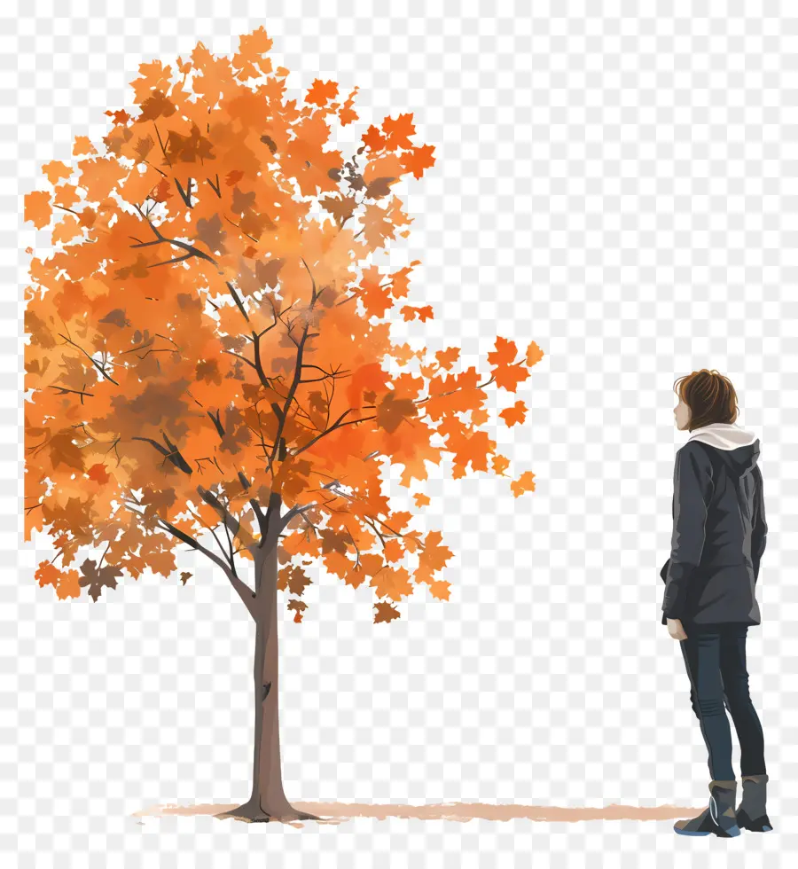 Mujer En El Día De Otoño，árbol De Otoño PNG