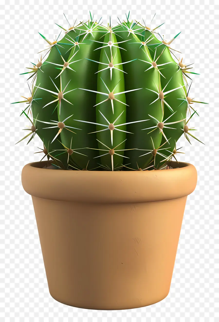 Cactus En Maceta，Cactus PNG