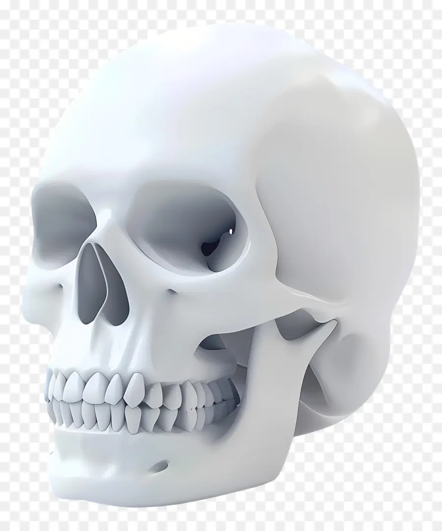 Calavera Animada，Calavera Blanca PNG