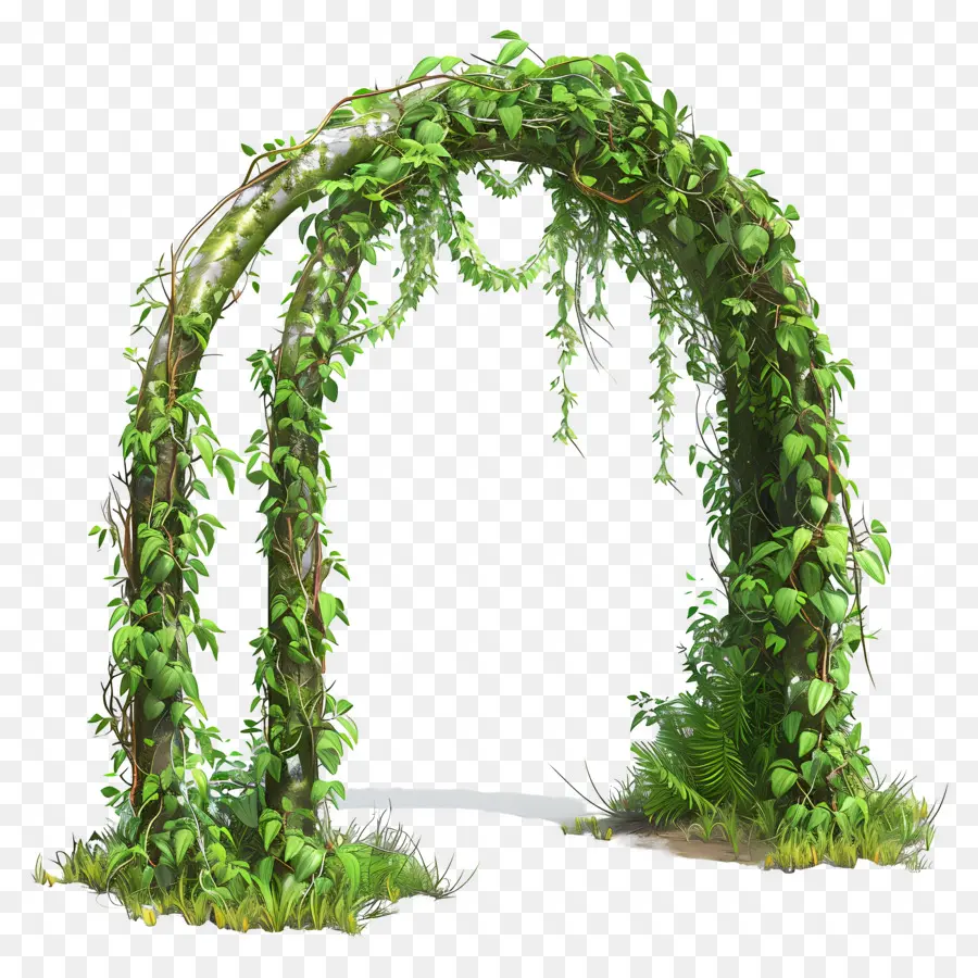 Arco Del Jardín，Arco Verde PNG