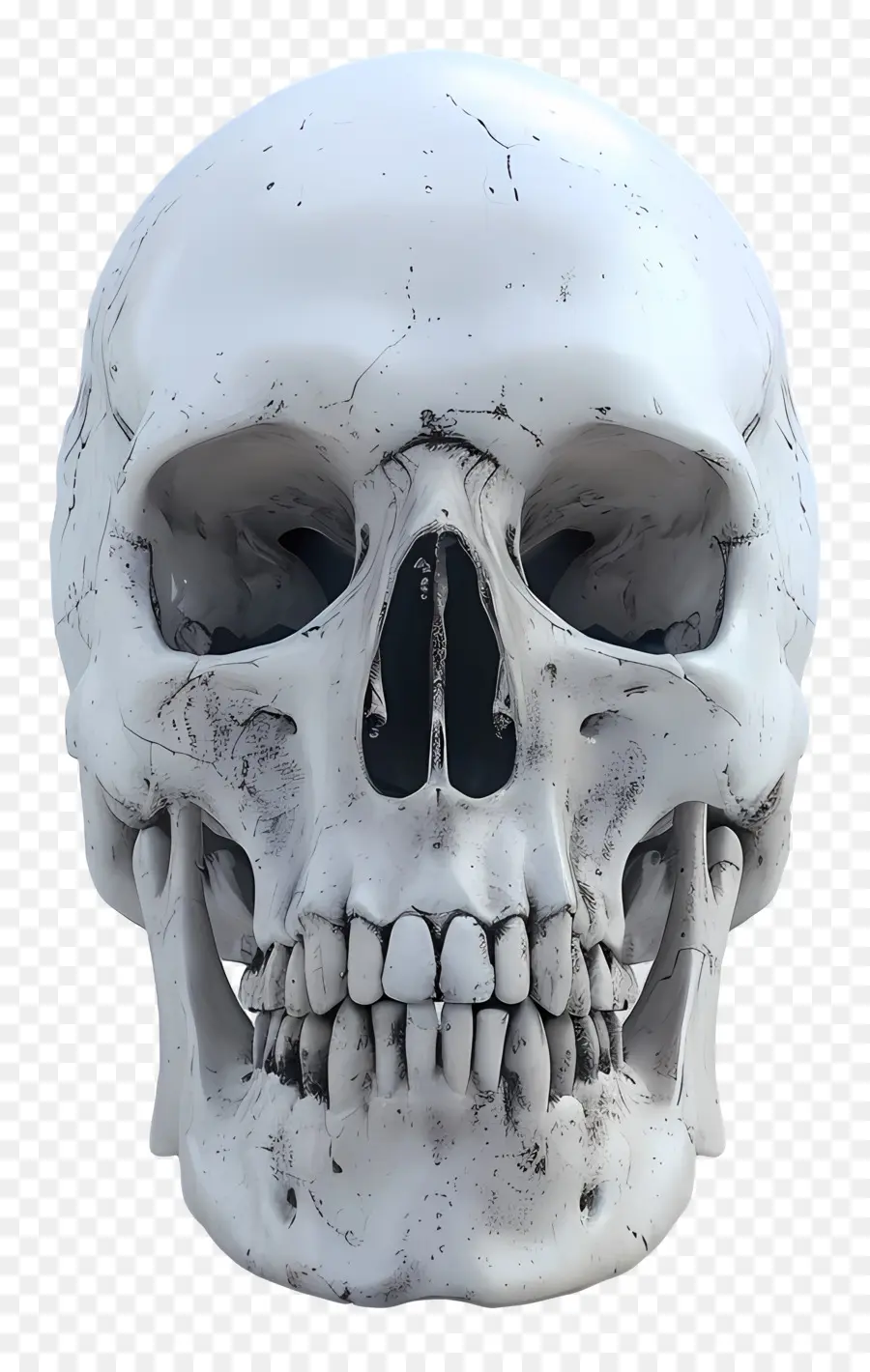 Calavera Animada，Cráneo PNG