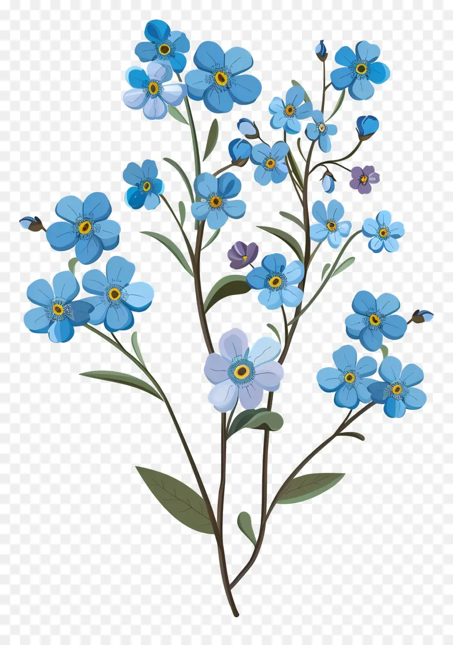 No Me Olvides Flor，Flores Azules PNG