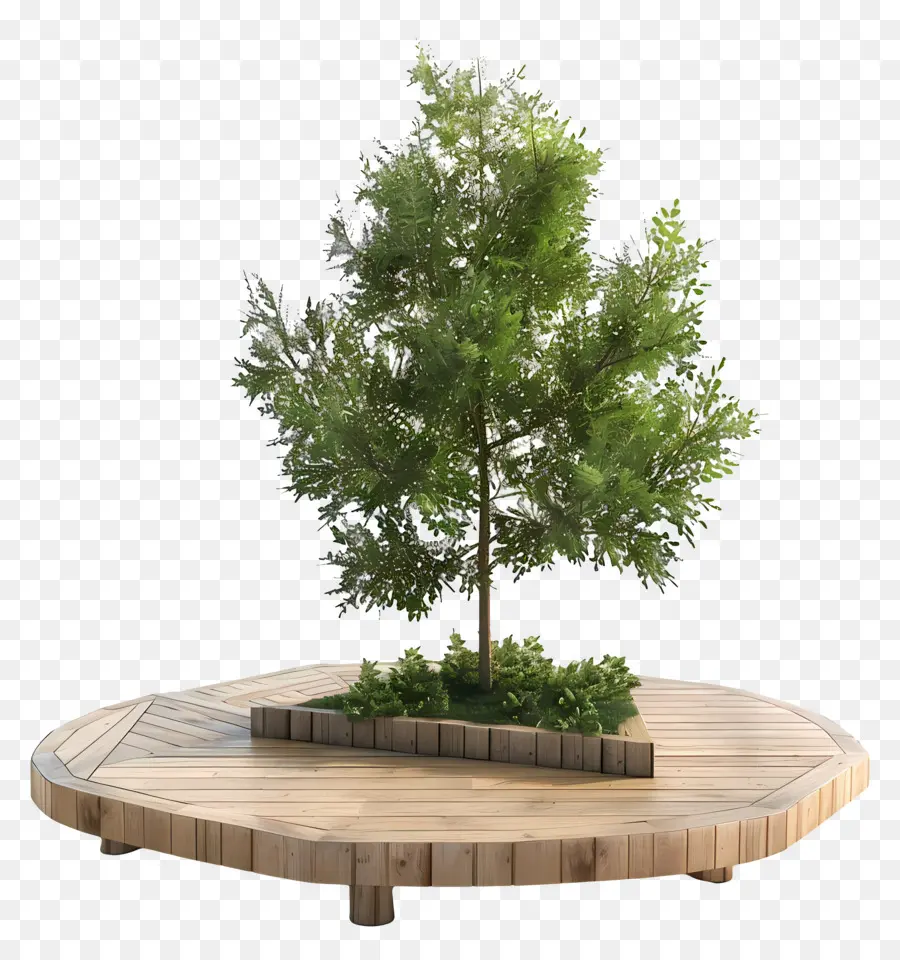 Cubierta De Madera，Árbol PNG