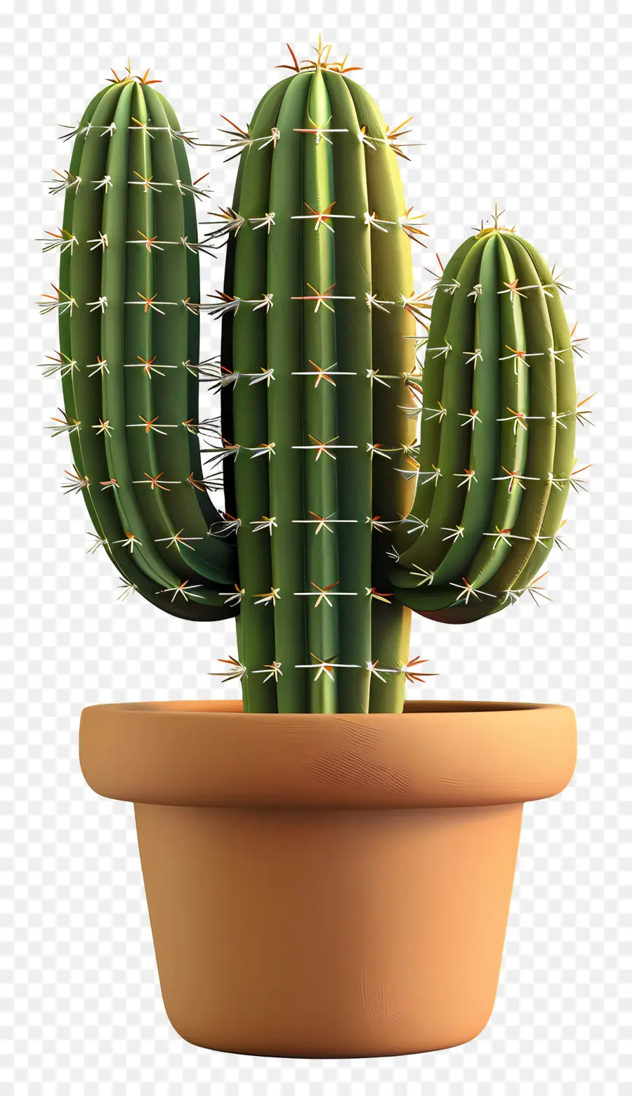 Cactus En Maceta，Cactus PNG