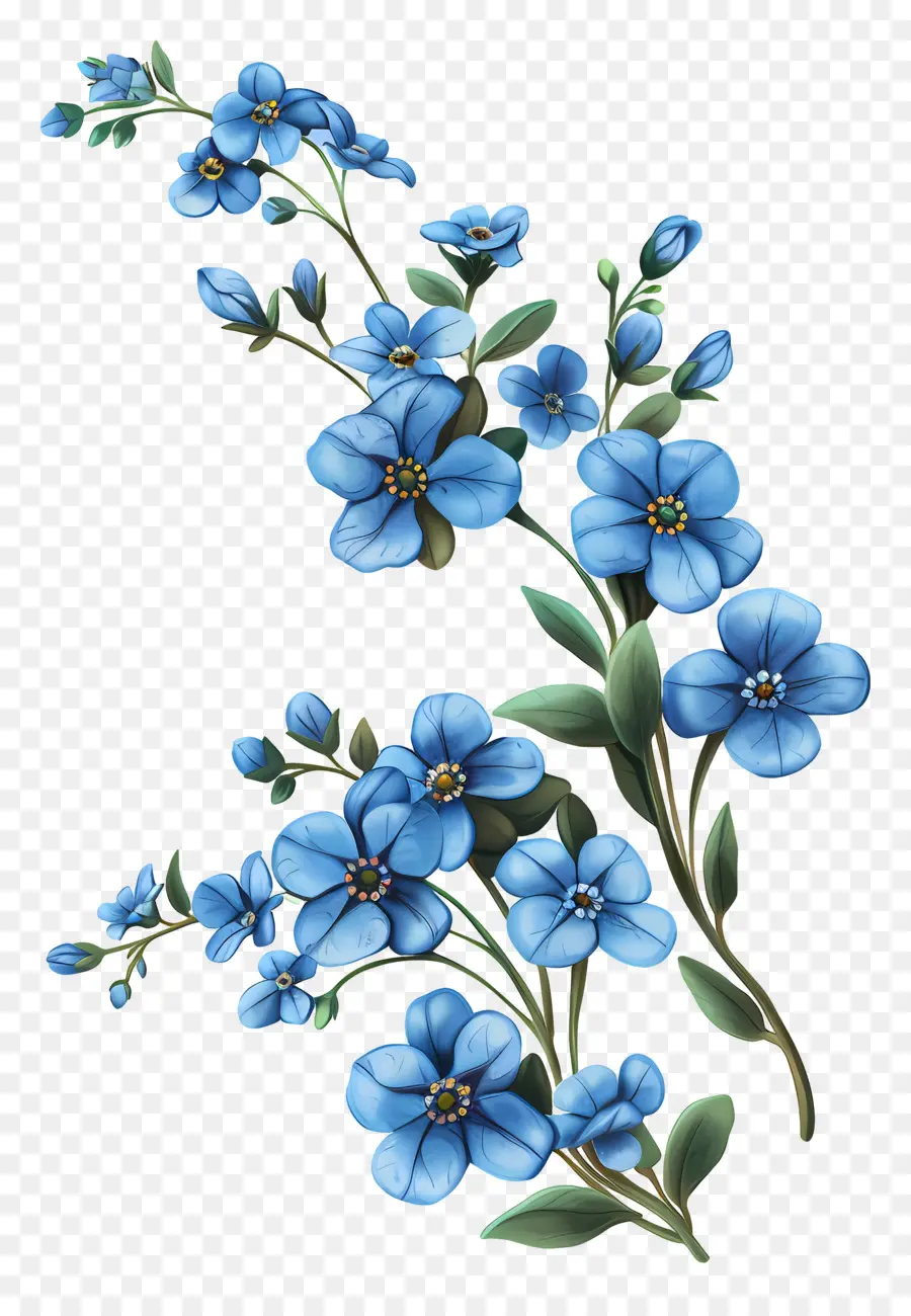 No Me Olvides Flor，Flores Azules PNG