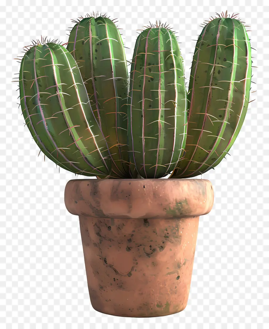 Cactus En Maceta，Cactus PNG