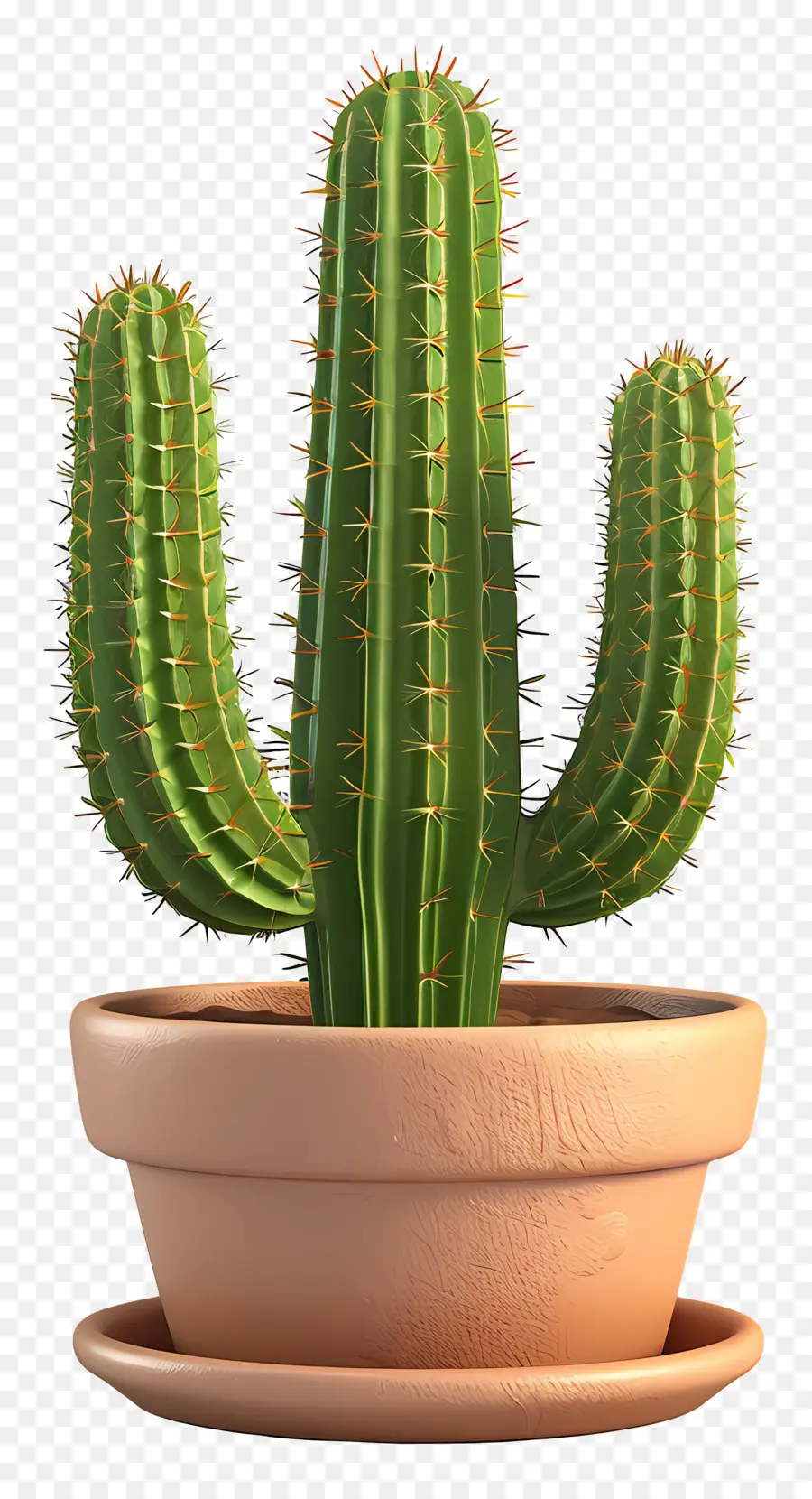 Cactus En Maceta，Cactus PNG