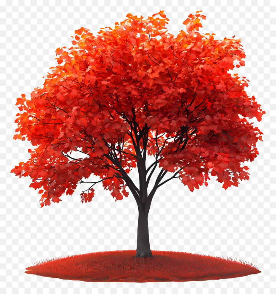 Equinoccio De Septiembre，Árbol PNG