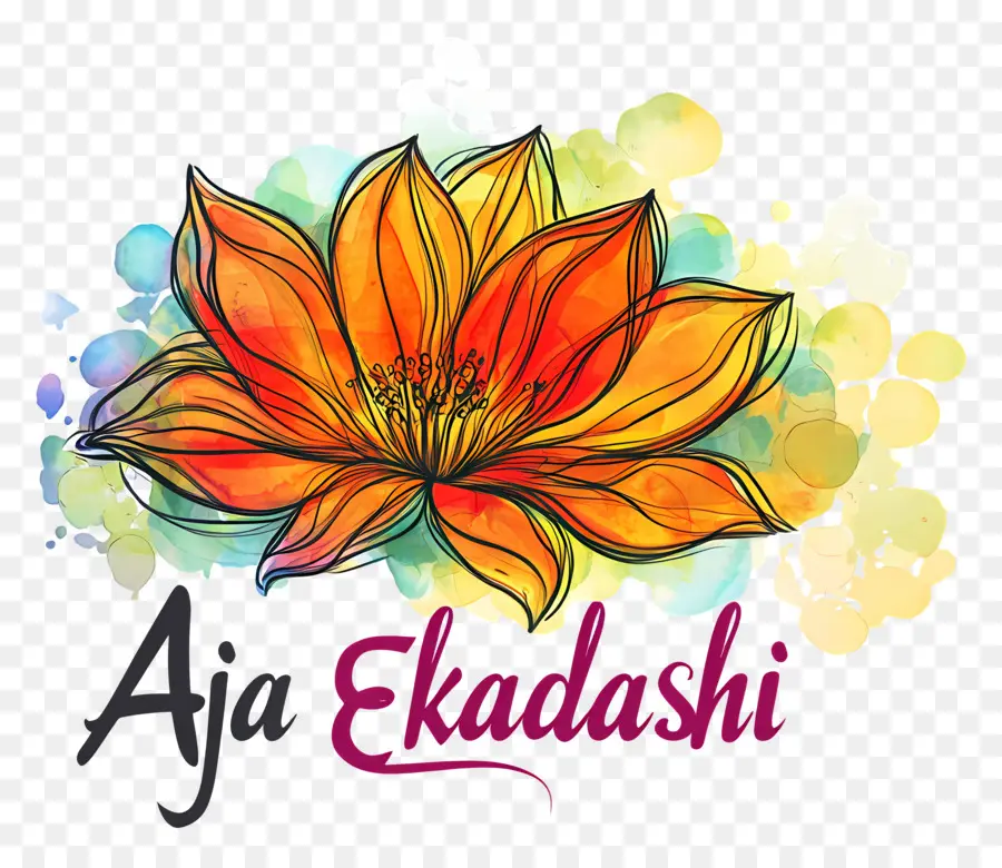 Aja Ekadashi，Loto PNG